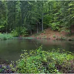 Gostel Koprivnik, Kocevje, Kocevski Rog *