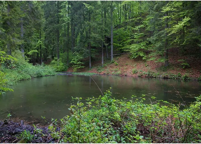 Gostel Pri Kocevju, Kocevski Rog *